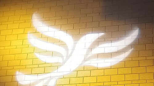 Lib Dem logo bird projected on blockwork